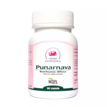 Punarnava, 60 capsule, Herba Ayurvedica